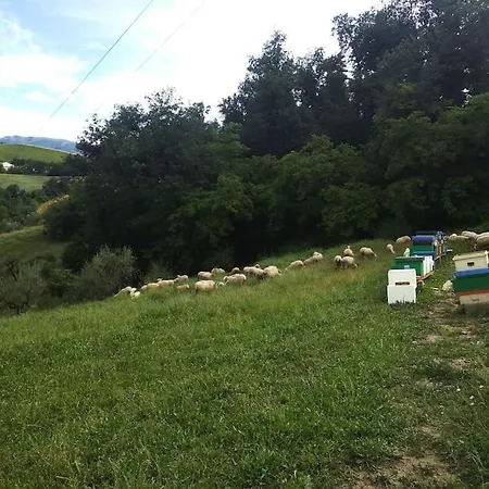 Casa In Campagna *